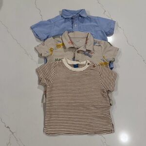 Toddler Shirts Set of 3